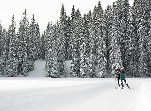 Cross-country skiing in Alpenregion Vorarlberg